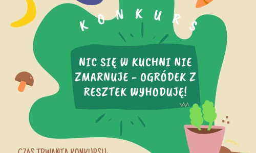Nic się w kuchni nie zmarnuje - ogródek z resztek wyhoduję!